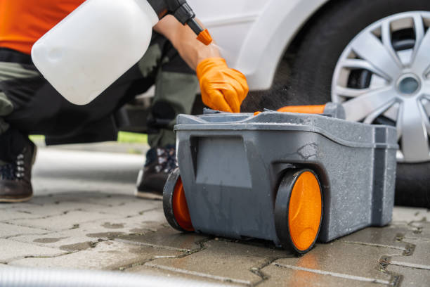 Best Leaf Removal  in Coalinga, CA